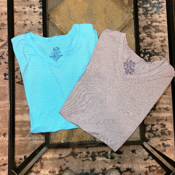 Fruit of the Loom Other - 2 for $20!  NWOT men's short sleeve t-shirts